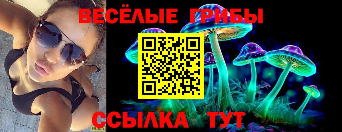 Псилоцибиновые грибы мухоморы Скопин