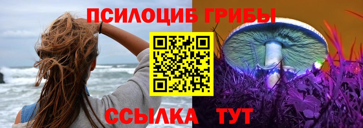 Скопин  Псилоцибиновые грибы прущие грибы  Вход с VPN 